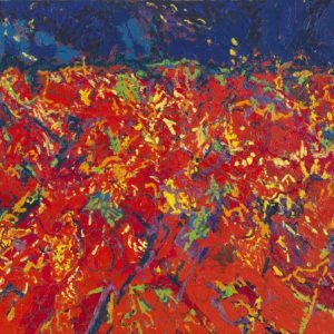 Immagini-066-size-640x448