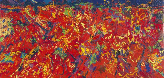 Immagini-066-size-640x448