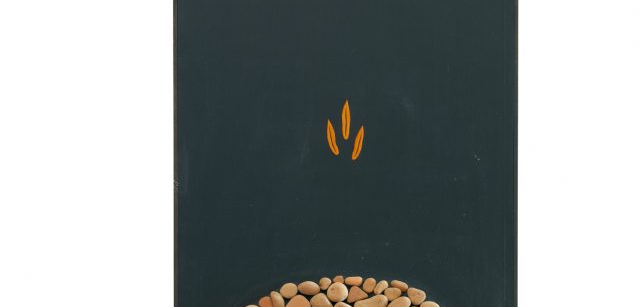 Immagini-332-640x853