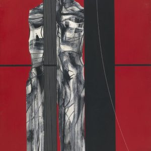 Immagini-336-640x865