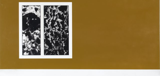 Immagini-422-640x376